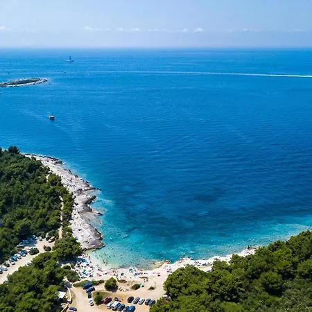 Villa Stylish & Luxury With Pool, Biliard, Extra Pool Heating Available - Wiibuk