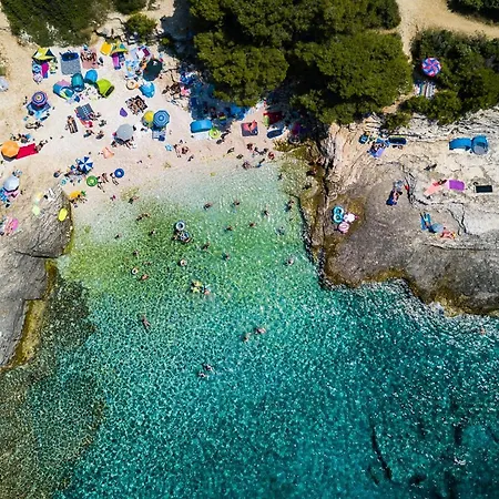 Stylish & Luxury With Pool, Biliard, Extra Pool Heating Available - Wiibuk Villa