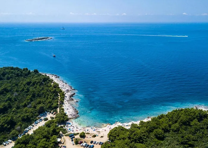 Villa Stylish & Luxury Villa With Pool, Biliard, Extra Pool Heating Available - Wiibuk