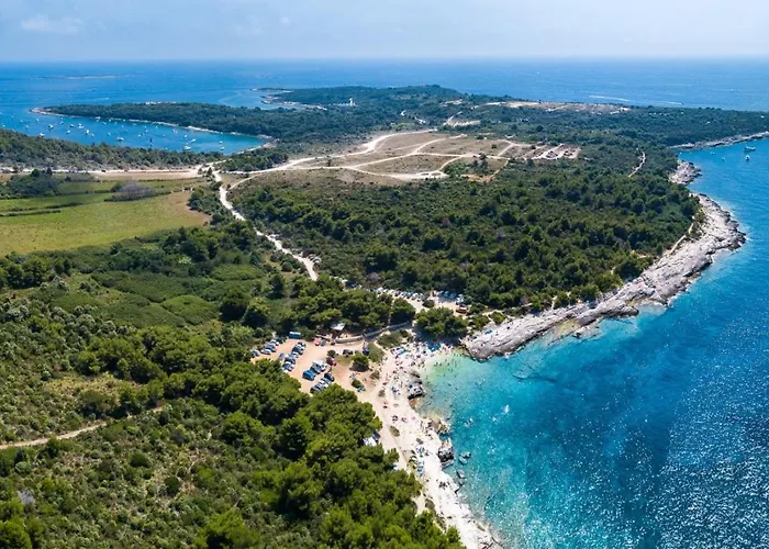 Stylish & Luxury Villa With Pool, Biliard, Extra Pool Heating Available - Wiibuk Villa