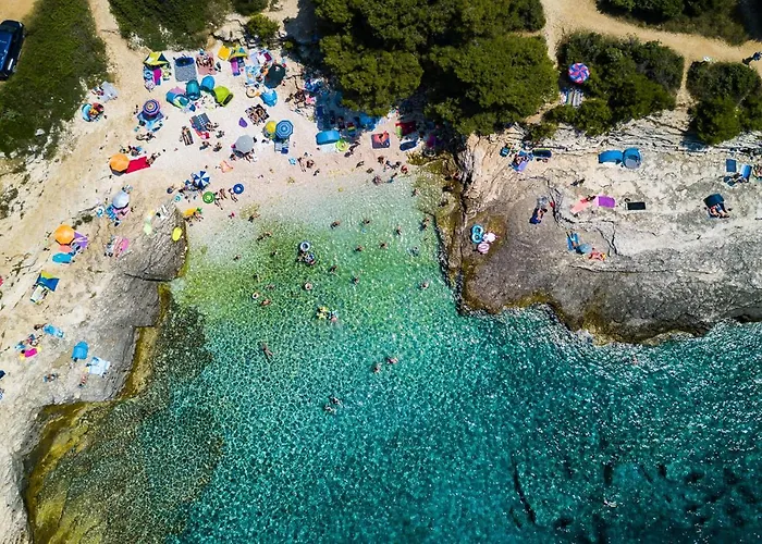 Stylish & Luxury Villa With Pool, Biliard, Extra Pool Heating Available - Wiibuk Villa